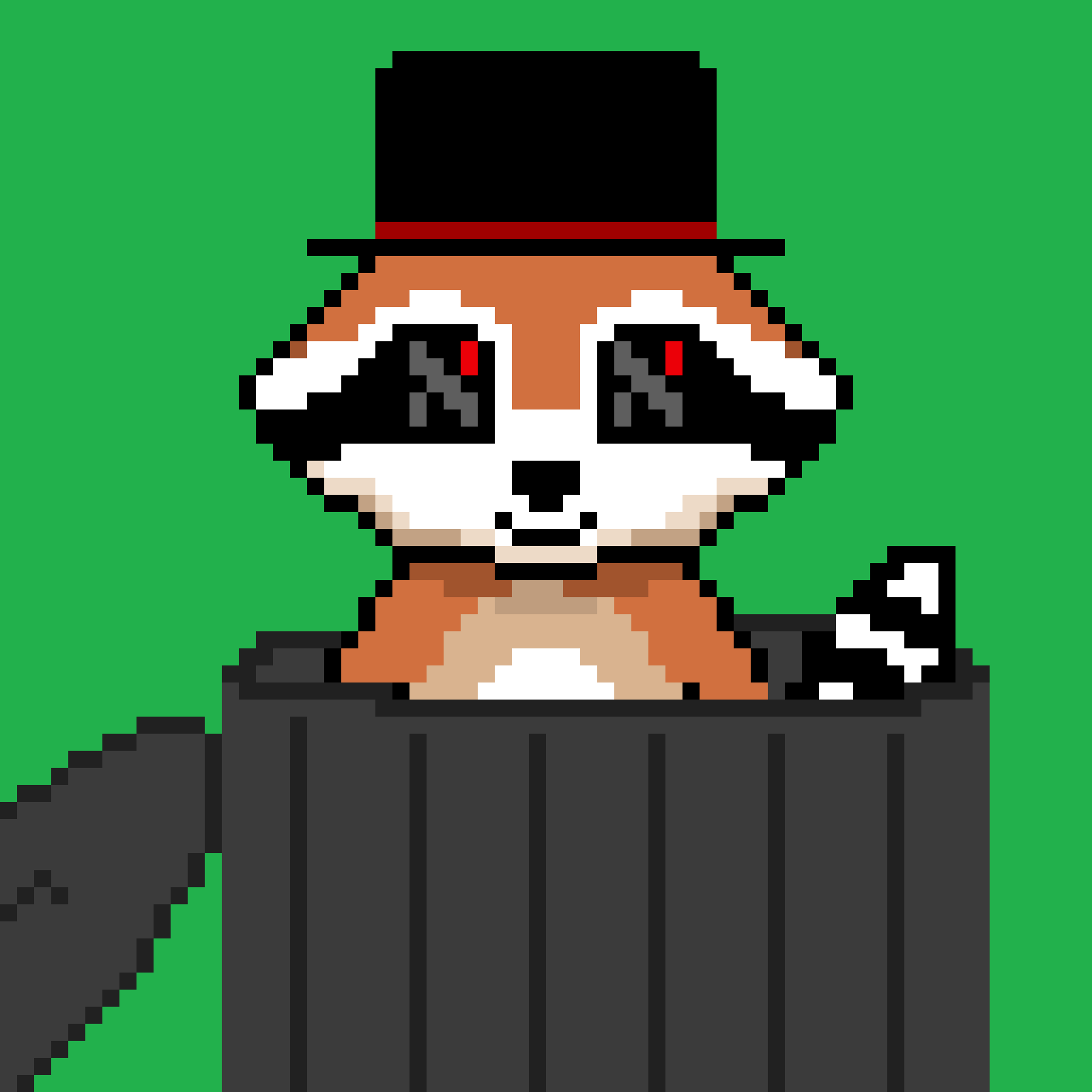 Random Raccoon