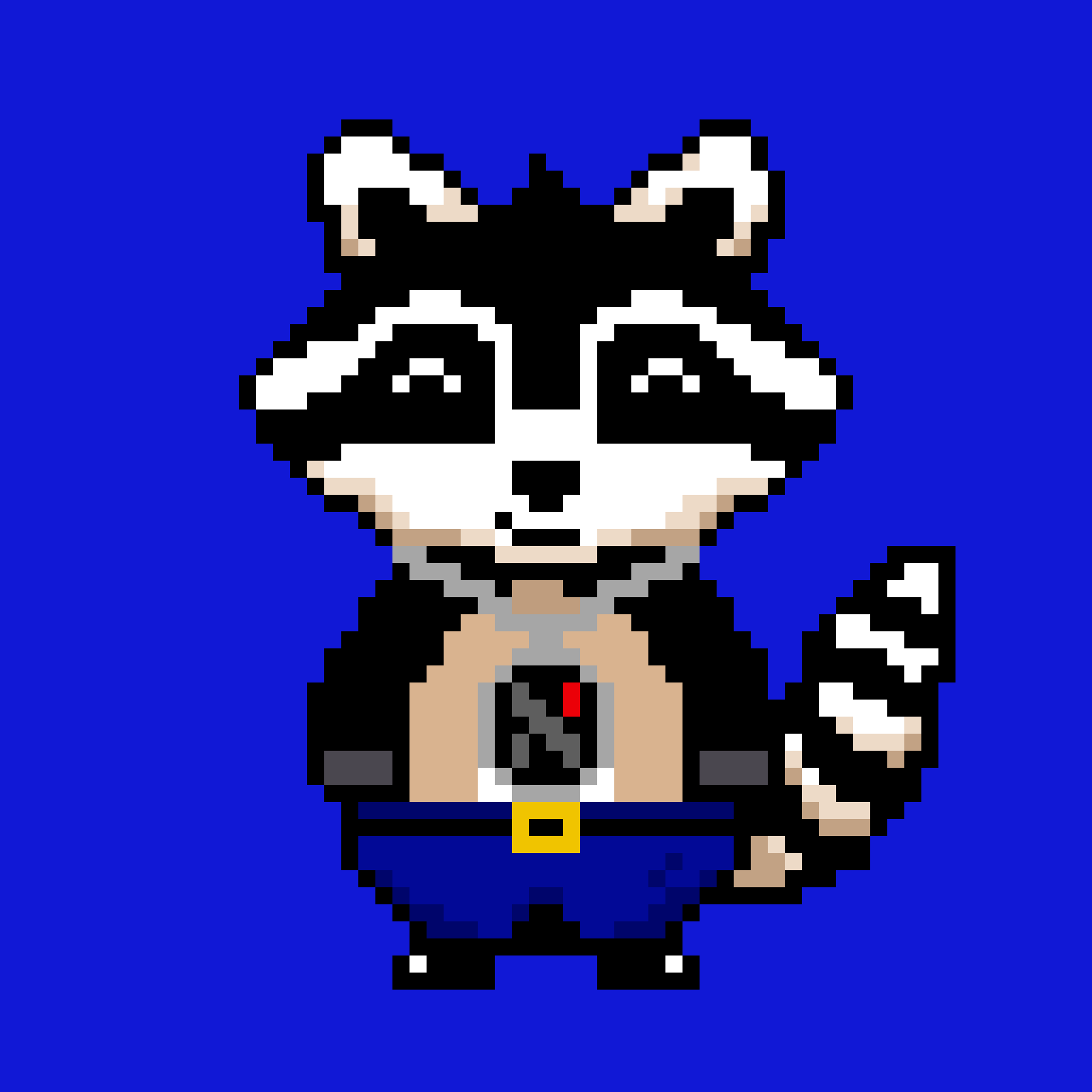 Random Raccoon