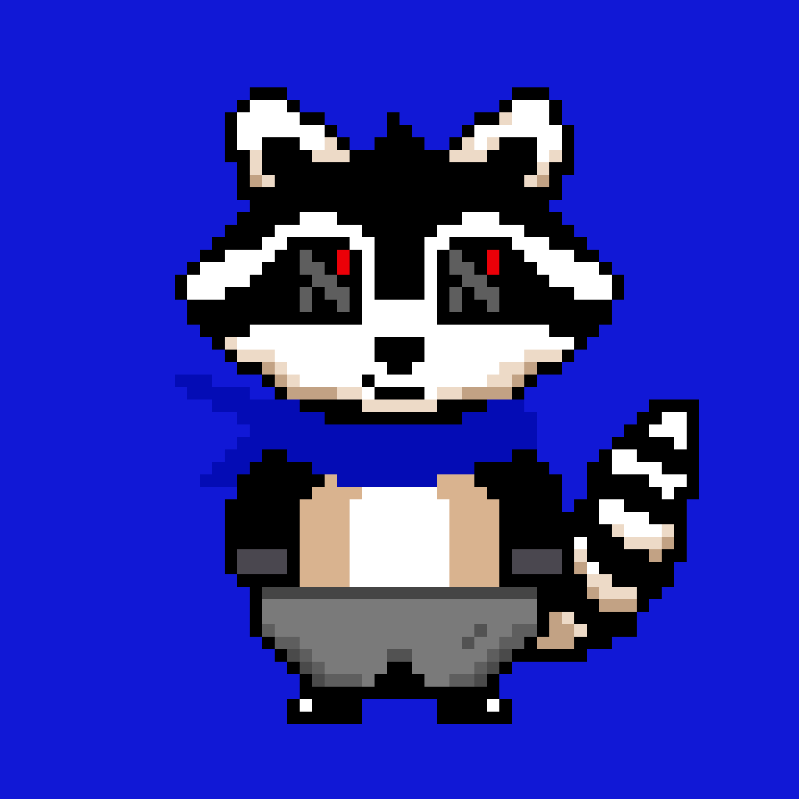 Random Raccoon