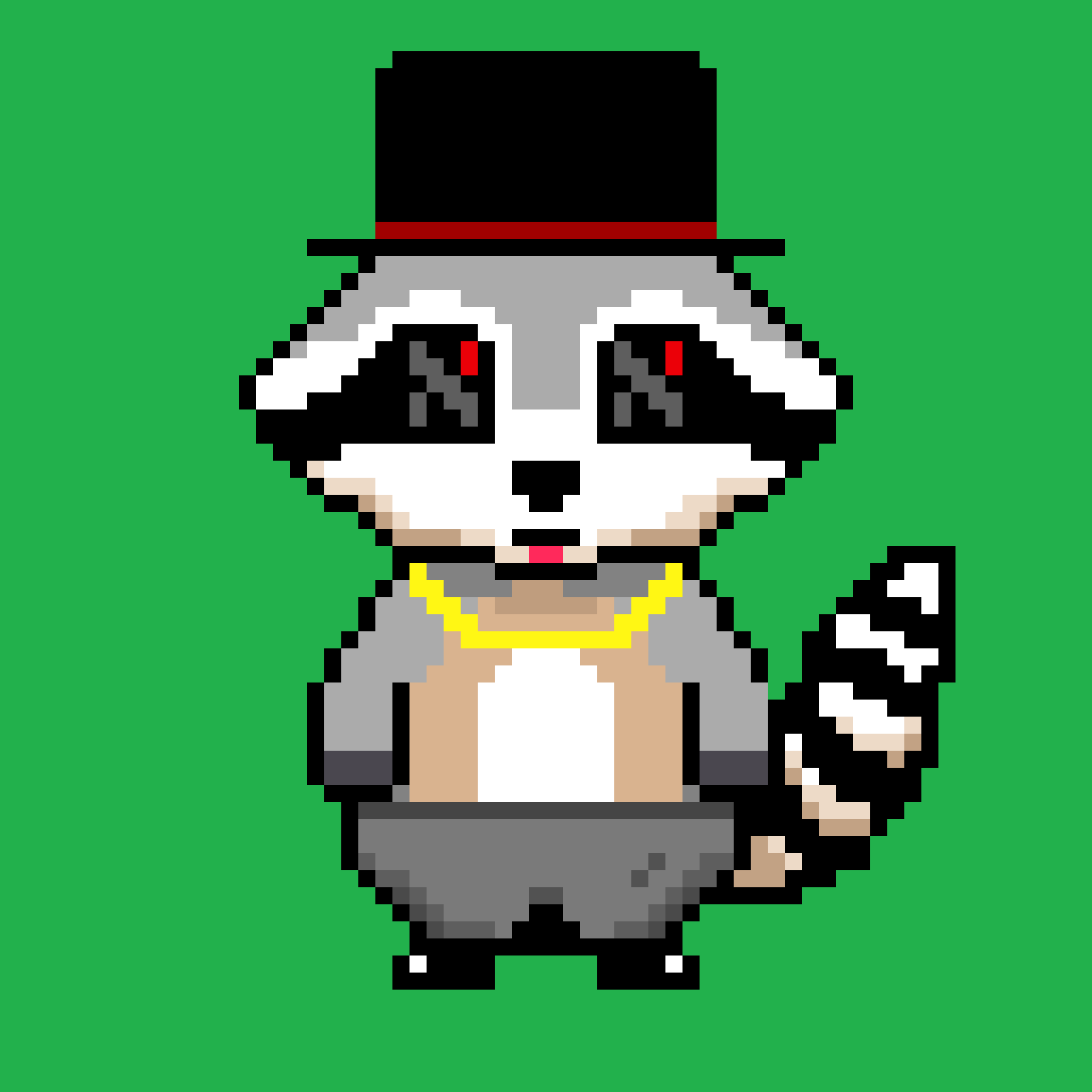 Random Raccoon