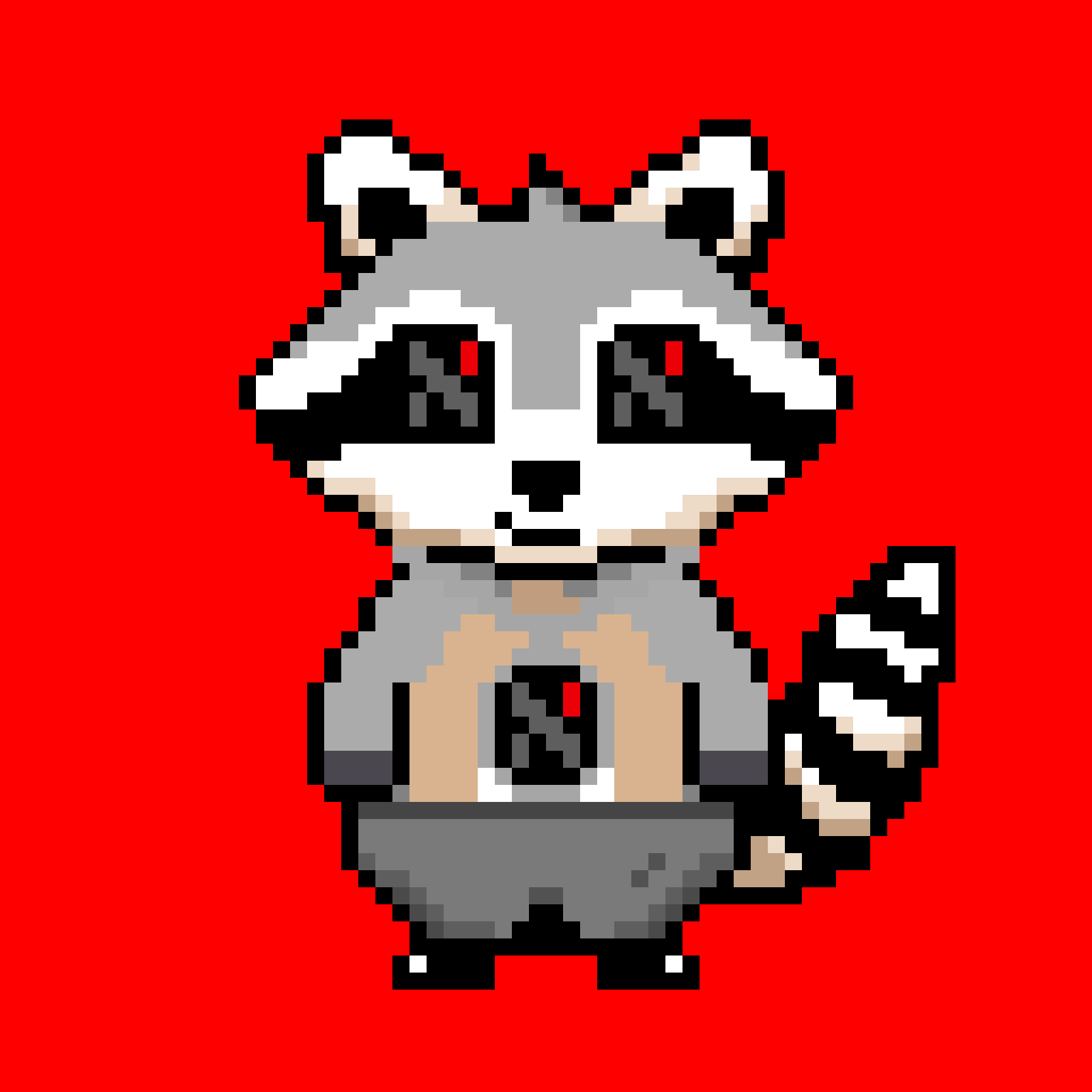 Random Raccoon