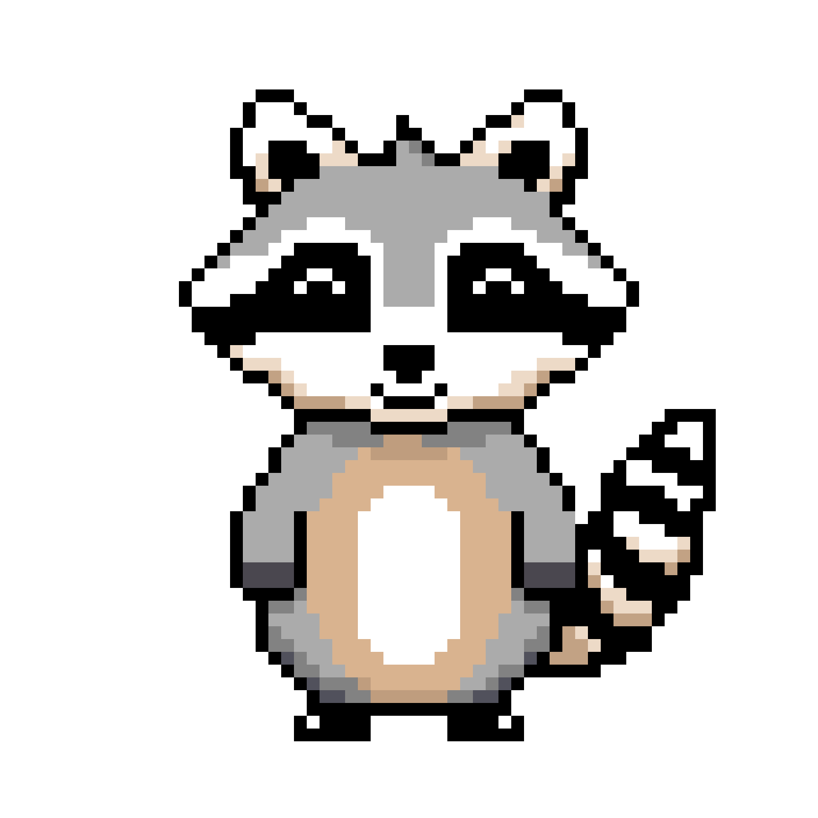 Random Raccoon right